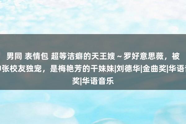 男同 表情包 超等洁癖的天王嫂～罗好意思薇，被歌神张校友独宠，是梅艳芳的干妹妹|刘德华|金曲奖|华语音乐