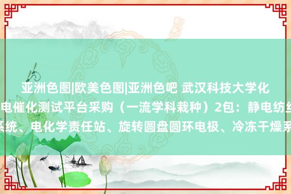 亚洲色图|欧美色图|亚洲色吧 武汉科技大学化工学院微纳材料制备与电催化测试平台采购（一流学科栽种）2包：静电纺丝系统、电化学责任站、旋转圆盘圆环电极、冷冻干燥系统（二次）竞争性揣度公告