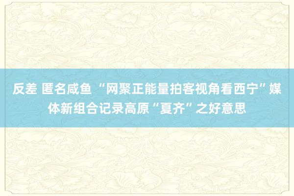 反差 匿名咸鱼 “网聚正能量拍客视角看西宁”媒体新组合记录高原“夏齐”之好意思