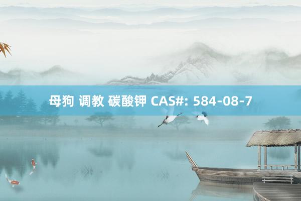 母狗 调教 碳酸钾 CAS#: 584-08-7