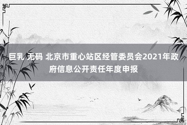 巨乳 无码 北京市重心站区经管委员会2021年政府信息公开责任年度申报