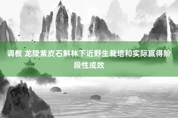 调教 龙陵紫皮石斛林下近野生栽培和实际赢得阶段性成效